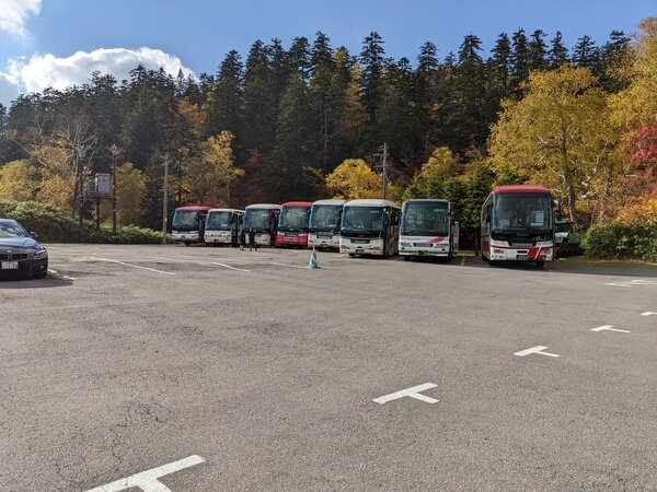 平日なのにバスが８台も！